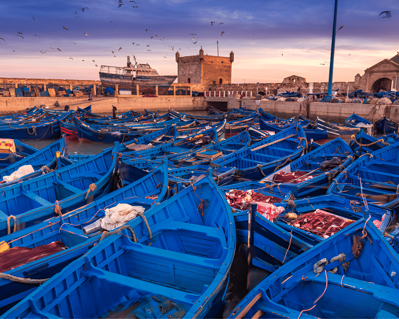 Essaouira Full-Day Trip